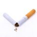 effects of smoking on human health