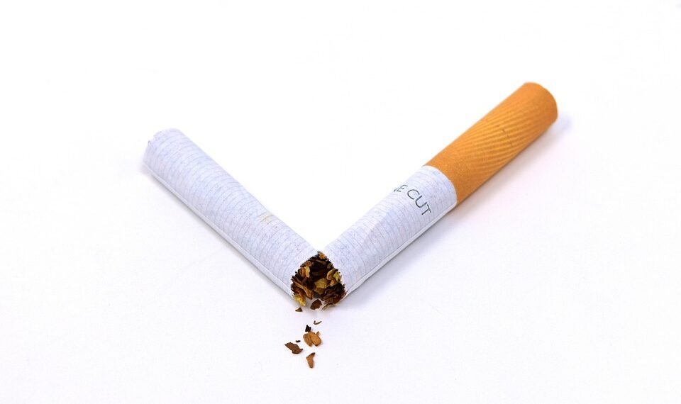 effects of smoking on human health