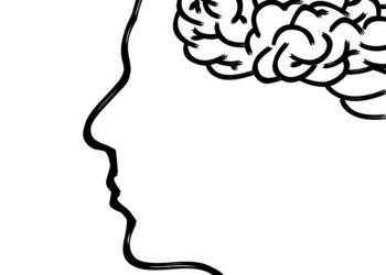 how the human brain processes information