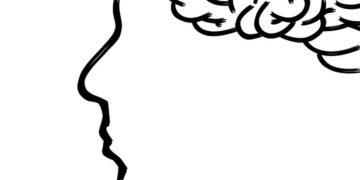 how the human brain processes information