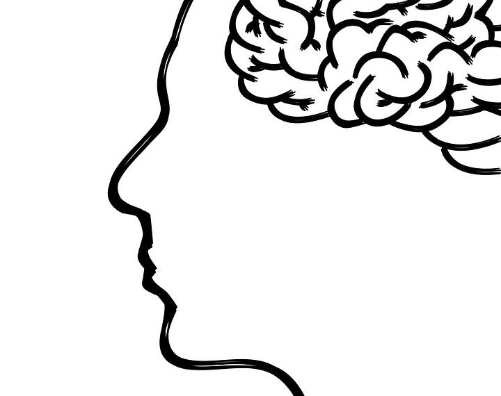 how the human brain processes information