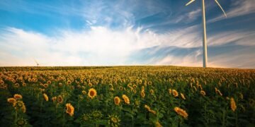 basics of body metabolism and energy use