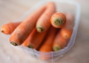 healthy eating habits and nutrition basics