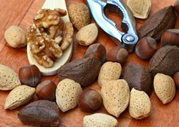 healthy eating habits and nutrition basics