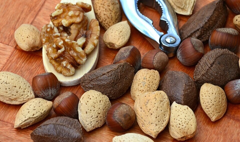 healthy eating habits and nutrition basics