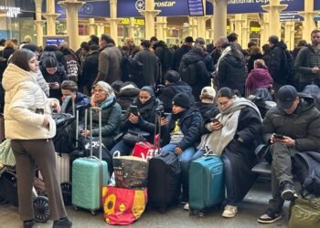 Eurostar Disruptions Impact Cancer Patient’s £3.5k Trip; Family Stranded in London