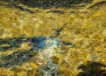 basics of body metabolism and energy use