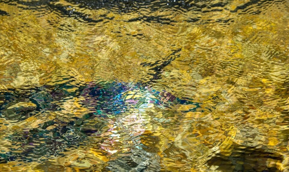 basics of body metabolism and energy use