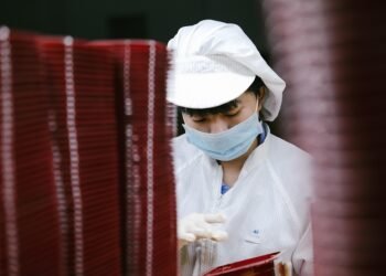 how the human respiratory system works