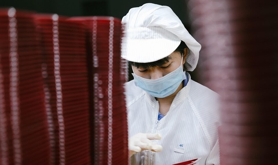 how the human respiratory system works