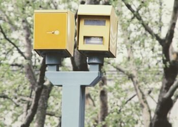 how the nervous system controls