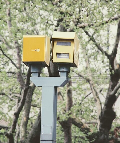 how the nervous system controls