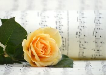 introduction to basic music theory for beginners