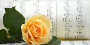 introduction to basic music theory for beginners