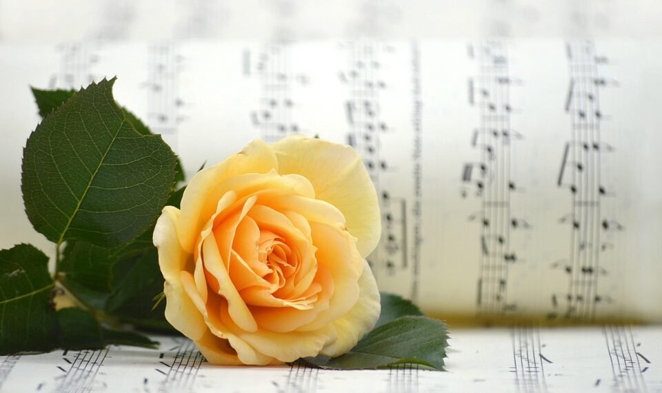 introduction to basic music theory for beginners