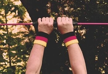 how muscles and bones work together