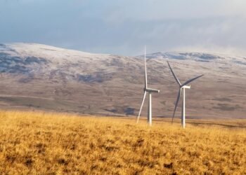 basics of body metabolism and energy use