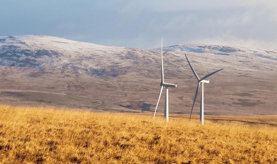 basics of body metabolism and energy use