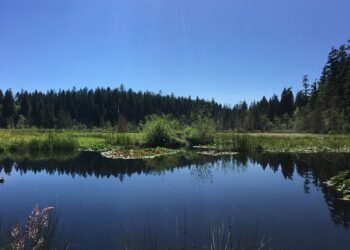 stanley kubrick directing style explained