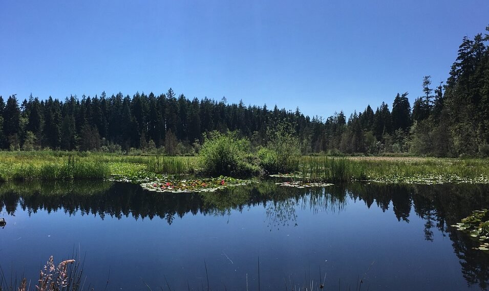 stanley kubrick directing style explained