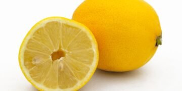 how the immune system protects the body