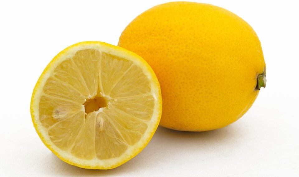 how the immune system protects the body