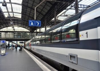 how the cardiovascular system functions