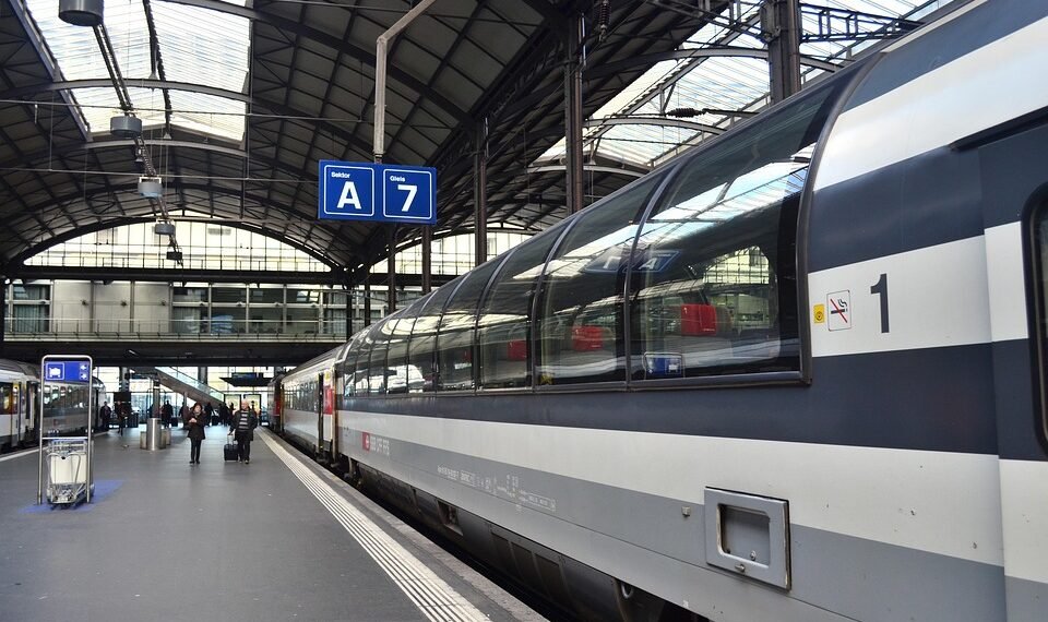 how the cardiovascular system functions