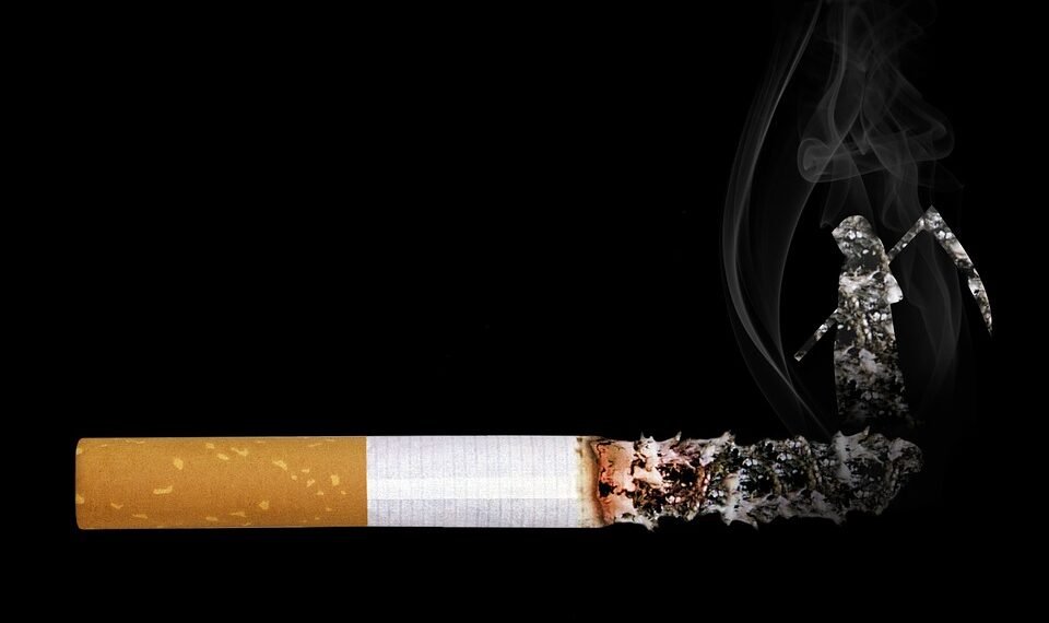 importance of handwashing in disease prevention