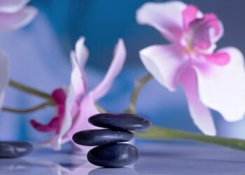 importance of sleep for mental and physical health