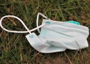 how the human respiratory system works