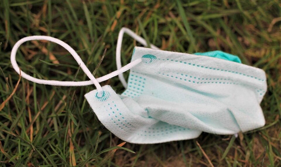 how the human respiratory system works