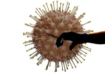 how vaccines support immunity