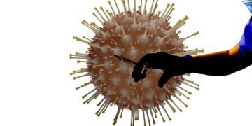 how vaccines support immunity
