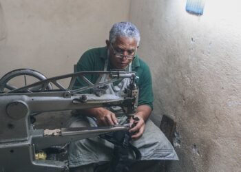 how the human respiratory system works