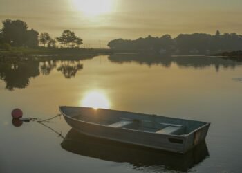 rise of french new wave filmmaking