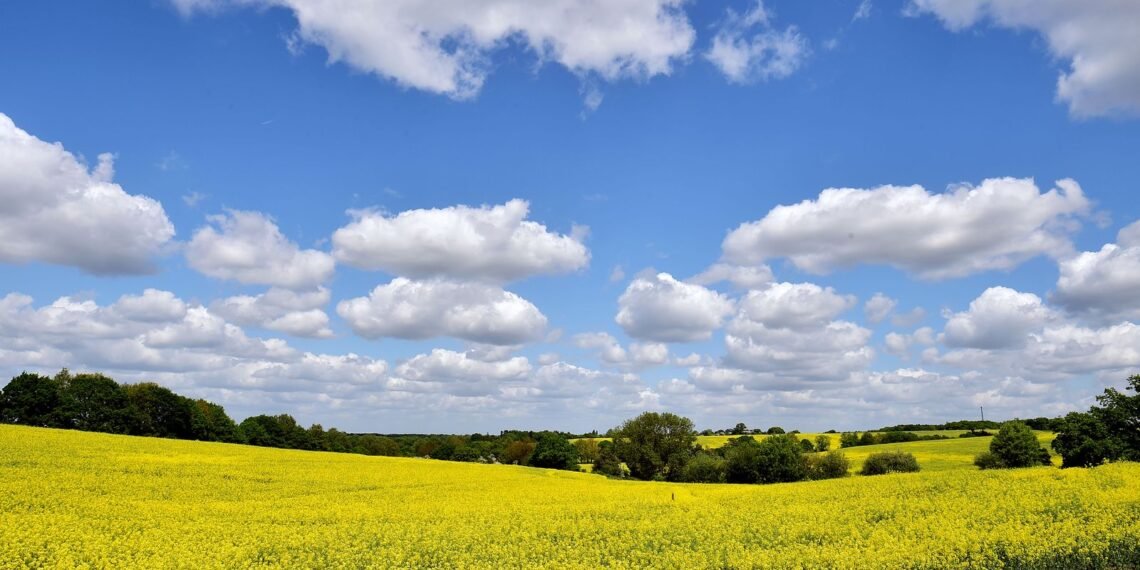 Farmers Face £800m Loss Due to Hottest Spring and Summer on Record, Study Reveals