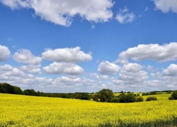Farmers Face £800m Loss Due to Hottest Spring and Summer on Record, Study Reveals