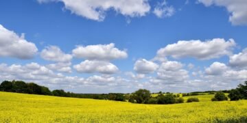 Farmers Face £800m Loss Due to Hottest Spring and Summer on Record, Study Reveals
