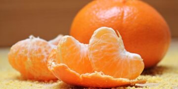 common vitamins and their roles in the body