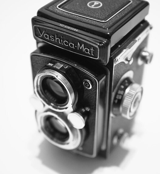 history of film festivals worldwide