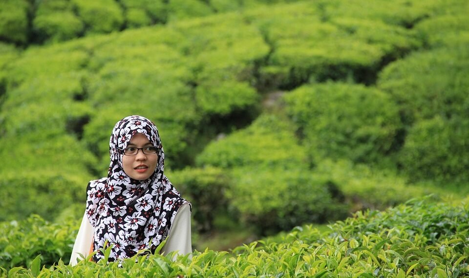 history of james cameron’s blockbuster filmmaking