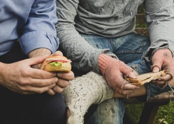 difference between viruses and bacteria