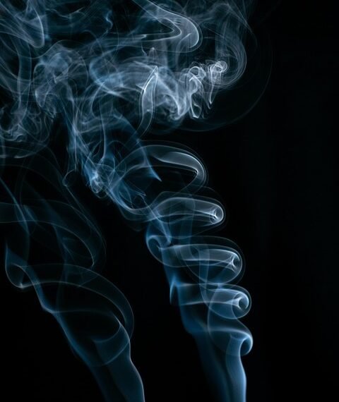 the art of stop motion filmmaking