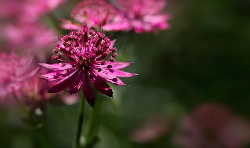 role of producers in shaping major films