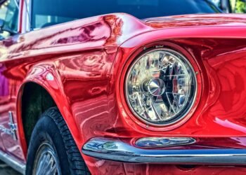 how muscles and bones work together