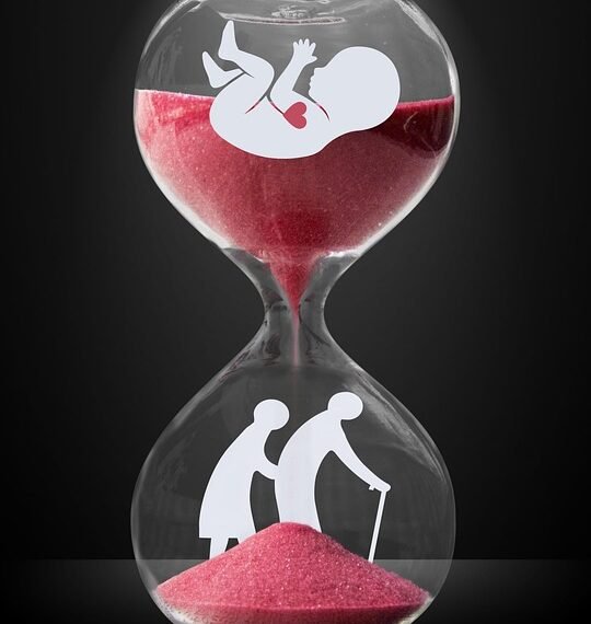 evolution of stars life cycle from nebula to white dwarf