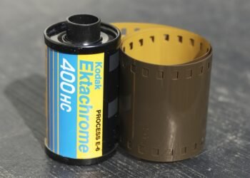 role of film critics in shaping cinema culture