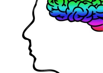 how the human brain processes information