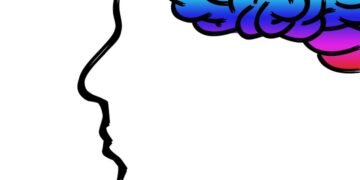 how the human brain processes information